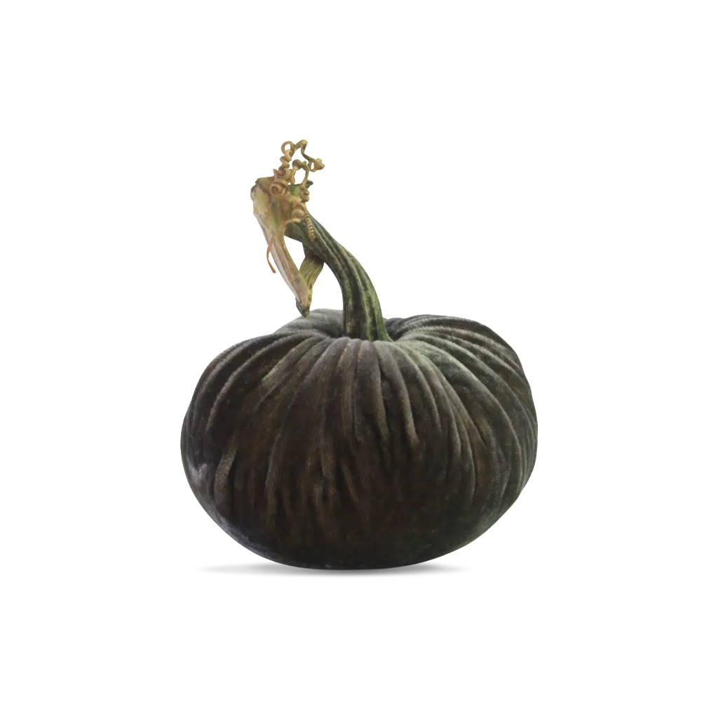 6" Velvet Pumpkin