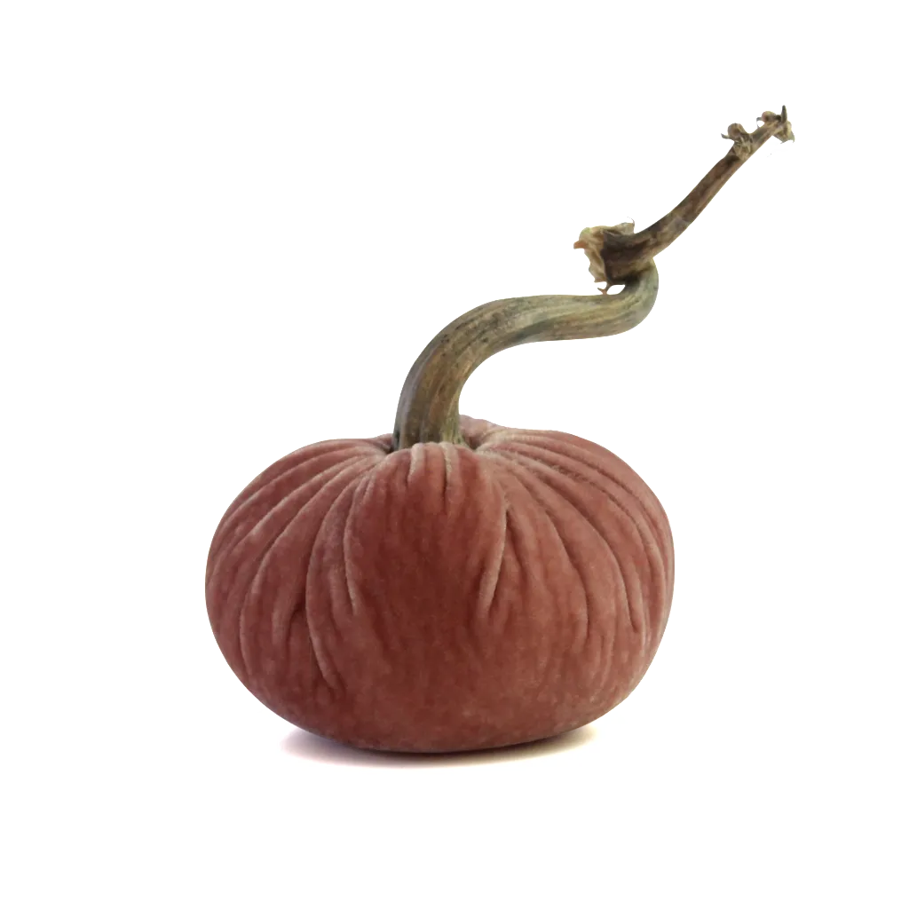 6" Velvet Pumpkin