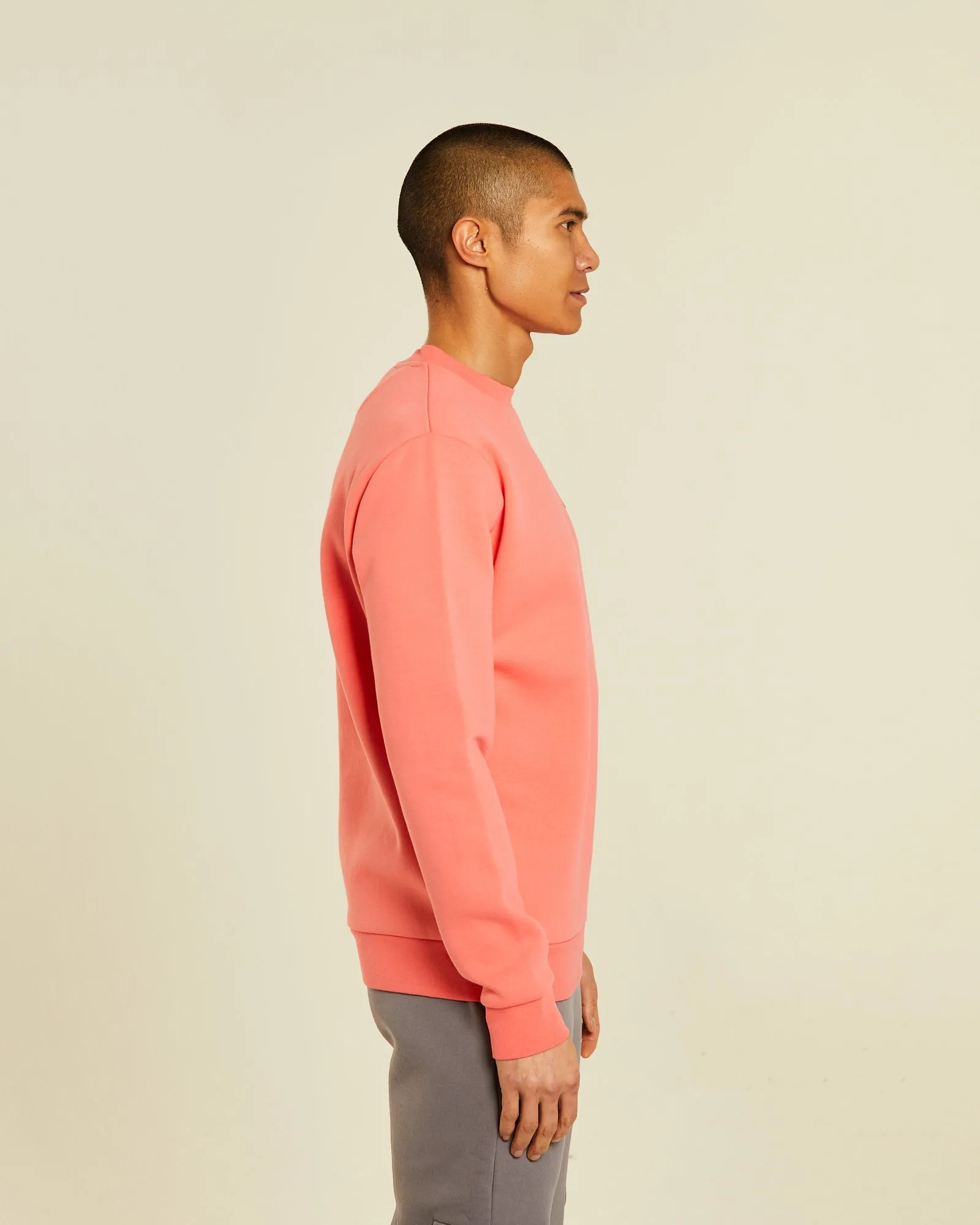 Sure! Here’s an optimized product title for the Davog Sweatshirt in Bright Peach:

Trendy Bright Peach Davog Sweatshirt for Ultimate Comfort and Style

This title highlights the products trendy nature, the color, and its appeal in terms of comfort and style.