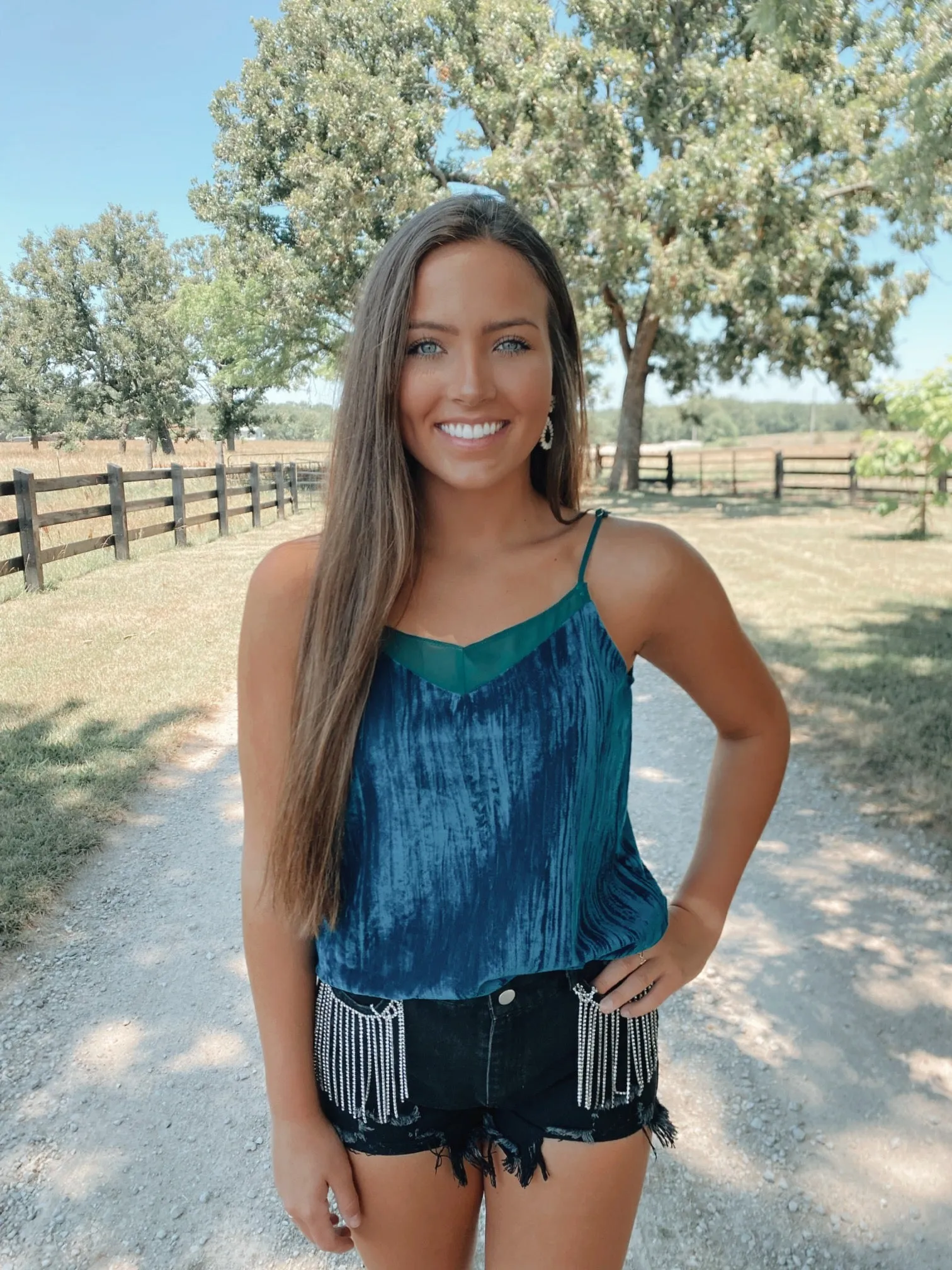 Icy Velvet Top