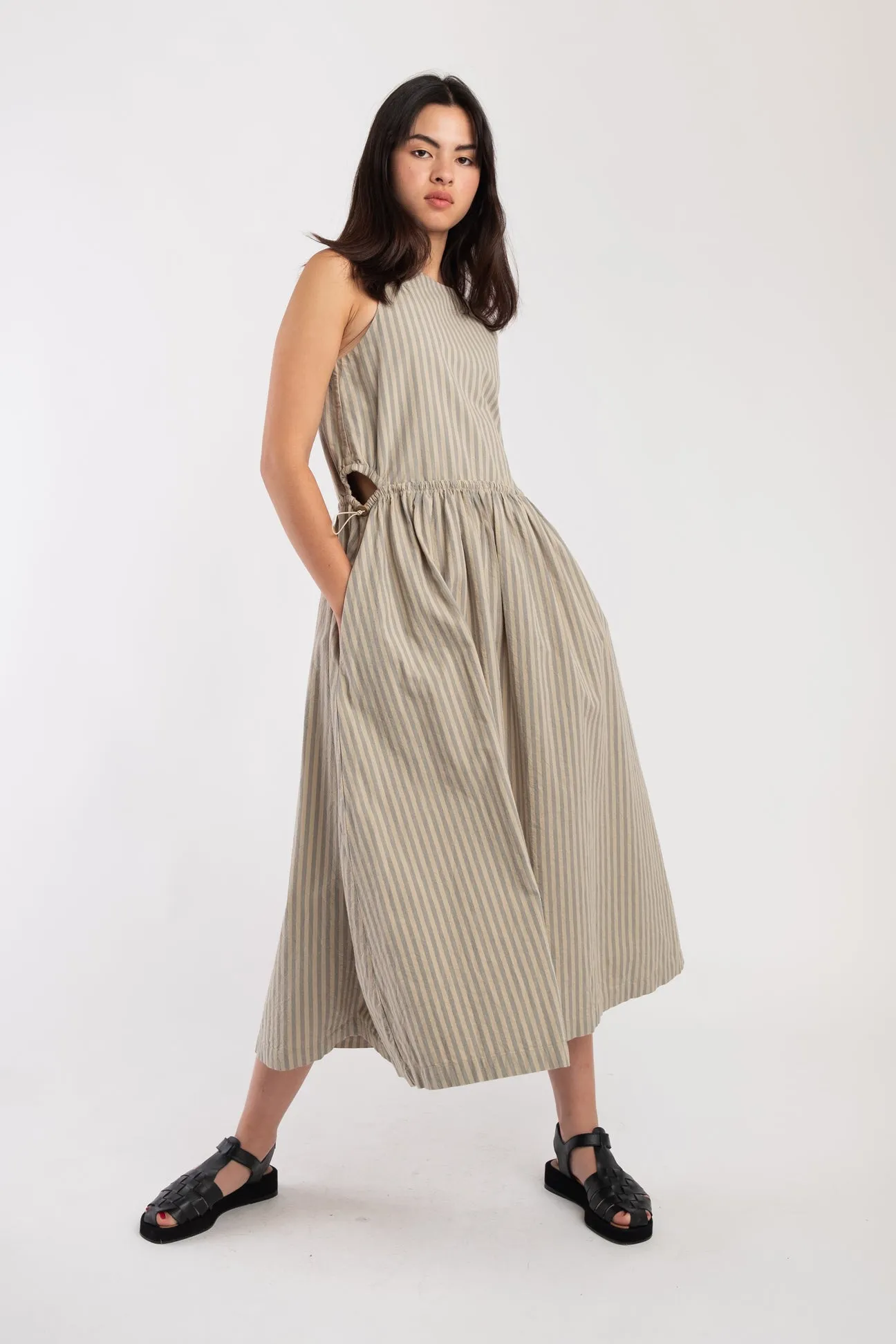 Muted Stripe Cinch Dress