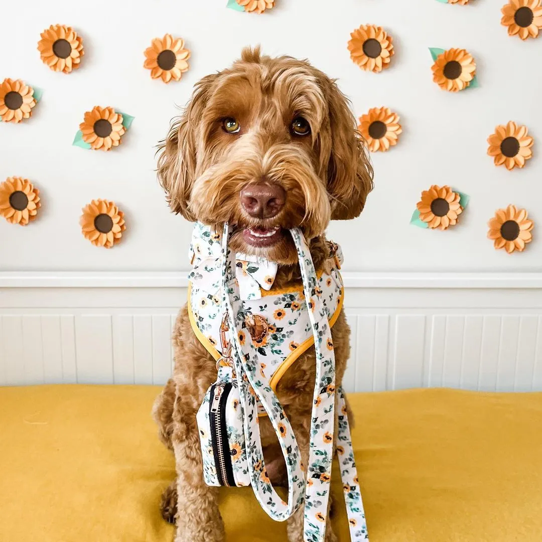 Velvet Harness // Sunflower Child